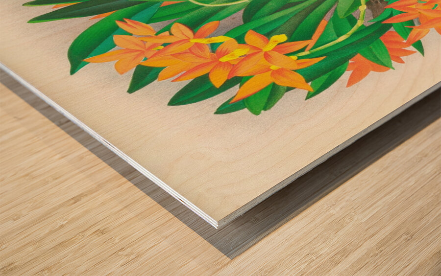 Epidendrum vitellinum Wood print