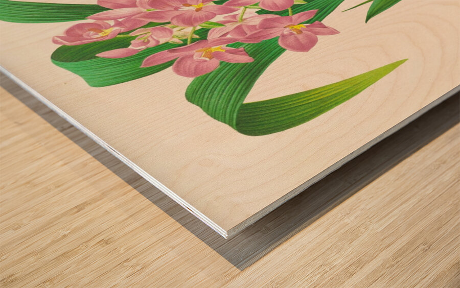 Spathoglottis plicata Wood print