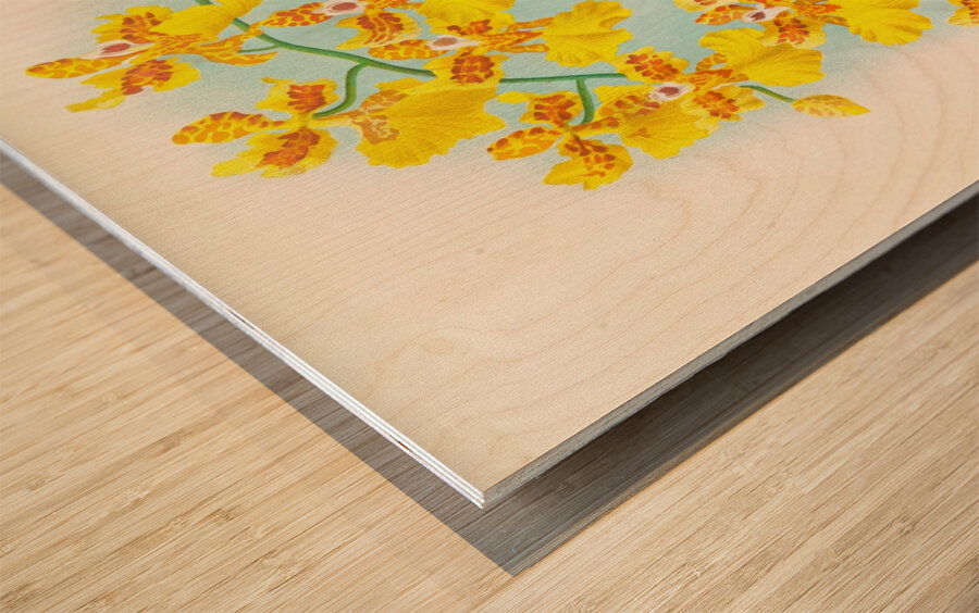 Oncidium marshallianum Wood print