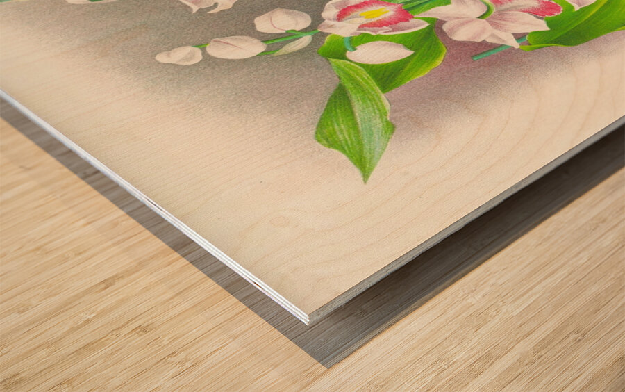 Phaius humbloti Wood print