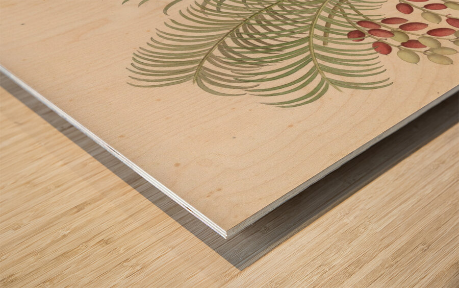 Phoenix [Phoenix reclinata] 1817 Wood print