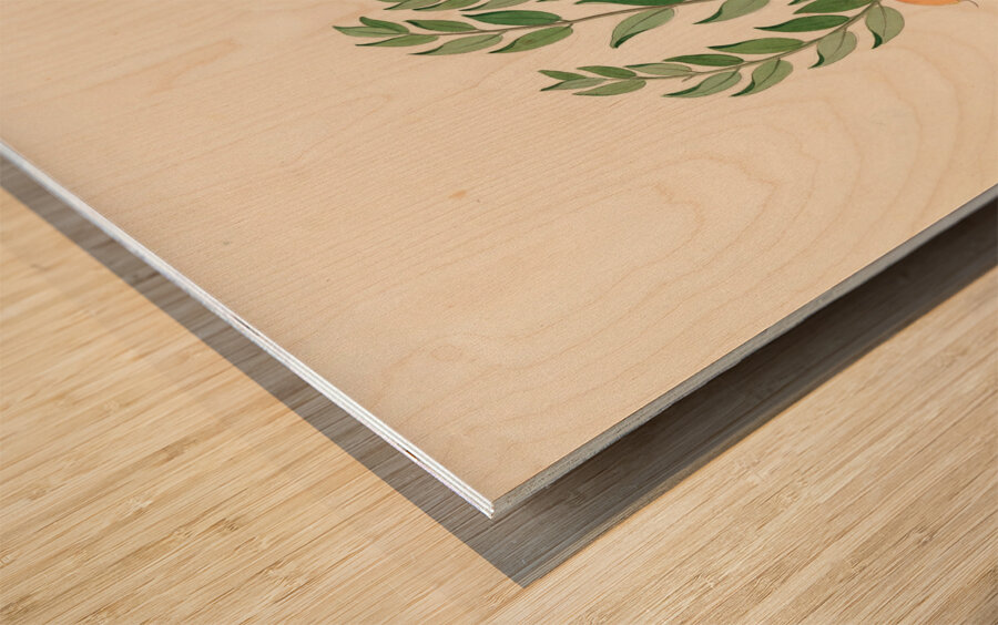 Eugenia or. Jambo [Eugenia albanensis] 1817 Wood print