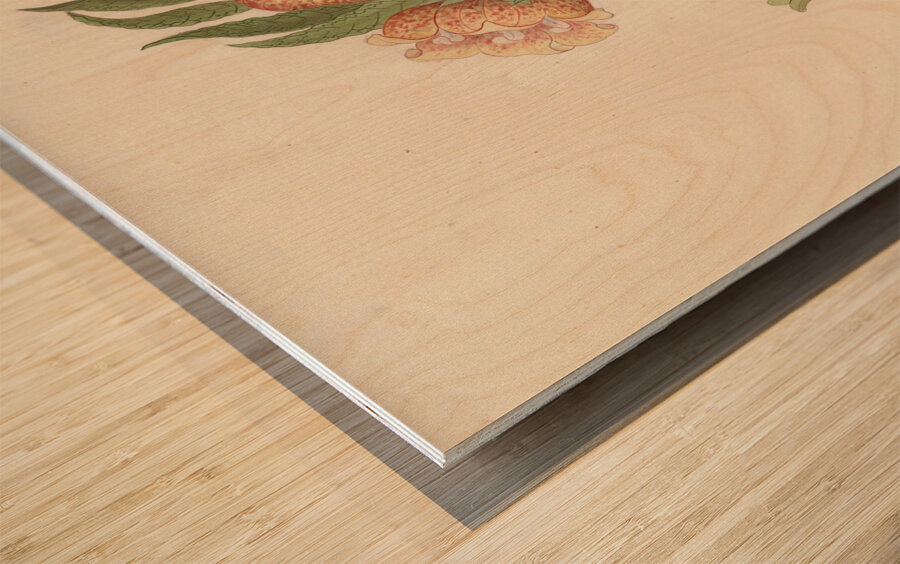 Asclepias grandiflora [Pachycarpus grandiflorus] 1817 Wood print