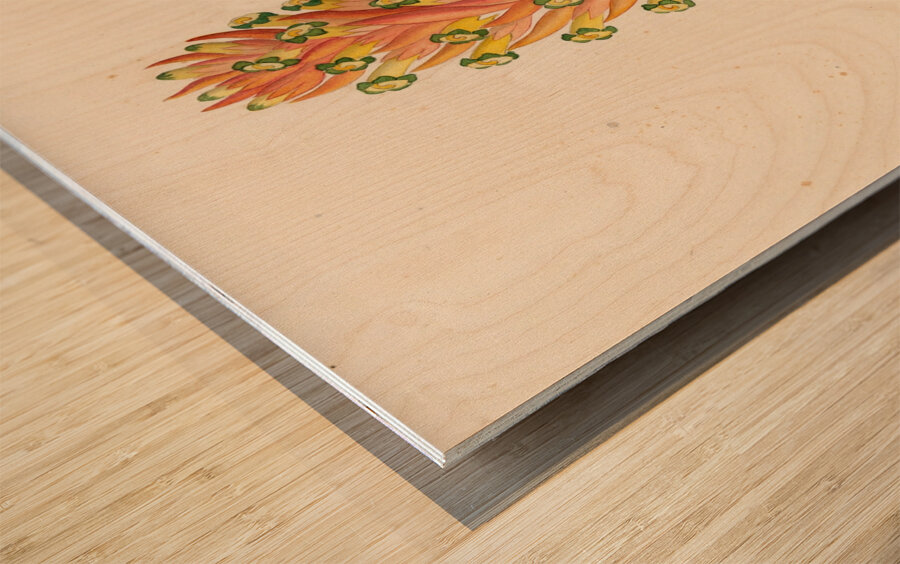 Didinamia angiosperma [Harveya hyobanchoides] 1817 Wood print