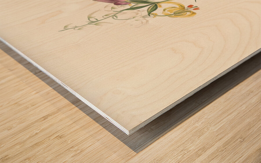 Lilium Pomponium Lilium Chalcedonicum 1834 Wood print