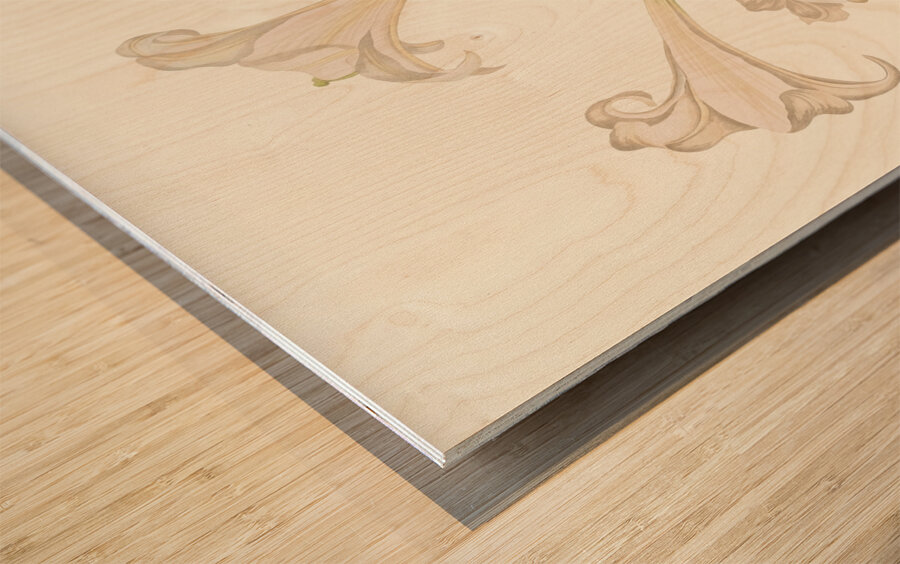 Lilium Longiflorum. 1834 Wood print