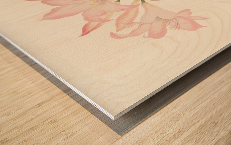 Amaryllis Belladonna 1834 Wood print