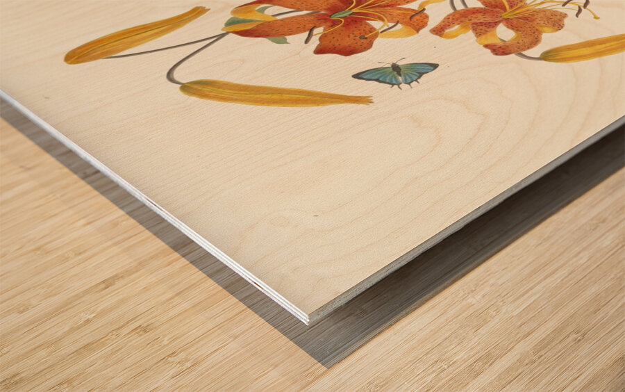 Lilium Tigrinum 1834 Wood print