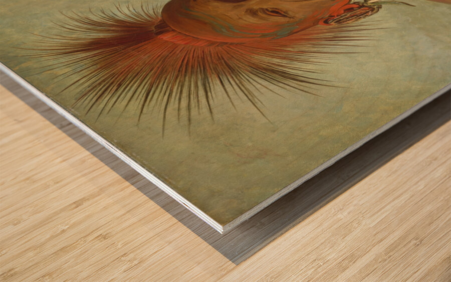 See-non-ty-a an Iowa Medicine Man 1844-1845 Wood print