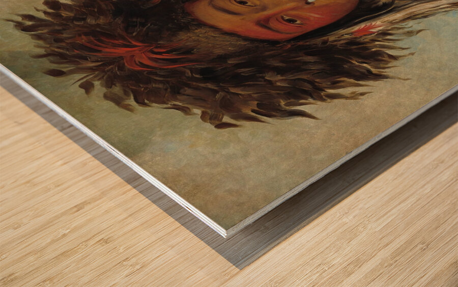 Boy Chief – Ojibbeway 1843 Wood print