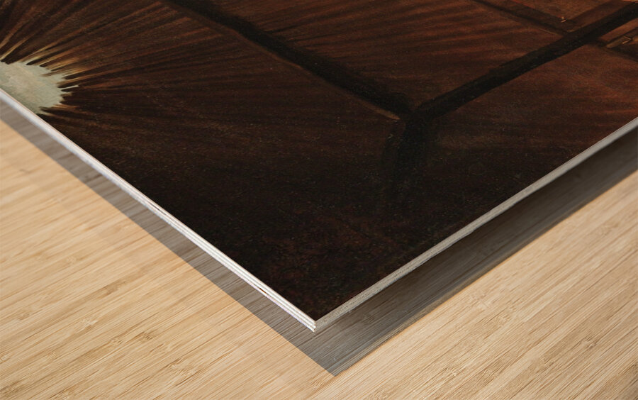 Interior Of A Mandan Lodge  Wood print