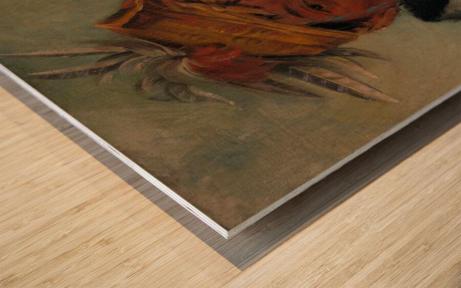 Ah-Yaw-Ne-Tak-Oár-Ron a Warrior 1831 Wood print