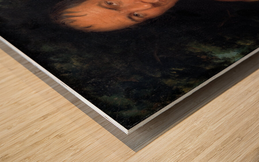 Co-Sne-Boin 1827 Wood print