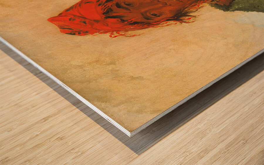 Ee-Mat-Lá- King Phillip Second Chief 1838 Wood print