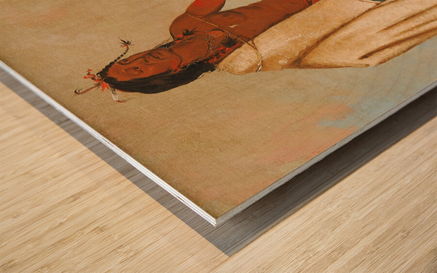 Kotz-A-Tó-Ah Smoked Shield a Distinguished Warrior 1834 Wood print