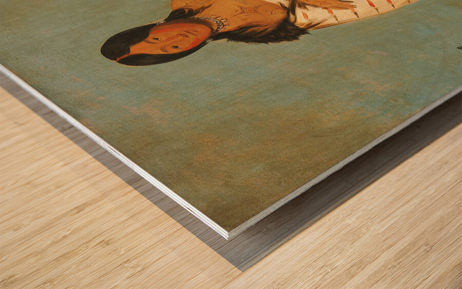 Hee-Láh-Dee Pure Fountain Wife of The Smoke 1832 Wood print