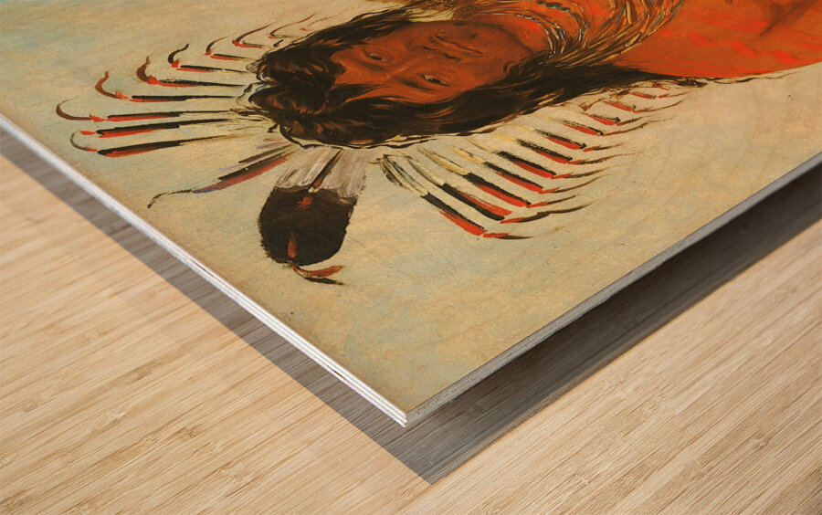 Háh-Nee The Beaver a Warrior 1834 Wood print