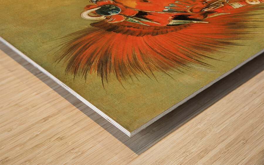 Jee-Hé-O-Hó-Shah Cannot Be Thrown Down a Warrior 1832 Wood print