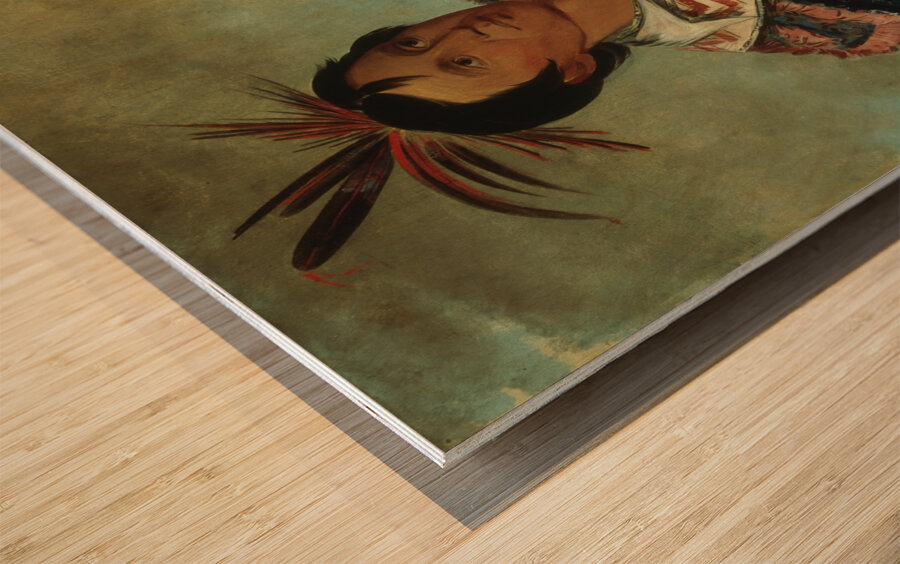 Há-Tchoo-Túc-Knee Snapping Turtle a Half-Breed 1834 Wood print