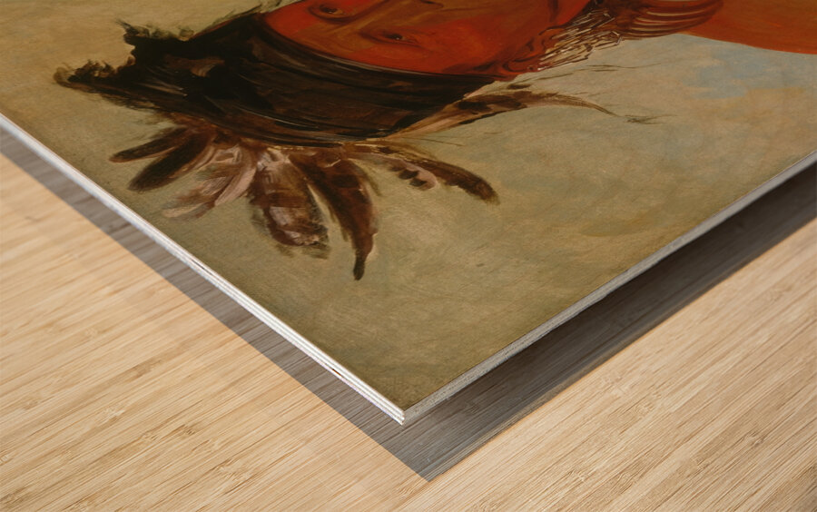 Háw-Che-Ke-Súg-Ga He Who Kills The Osages Chief of The Tribe 1832 Wood print