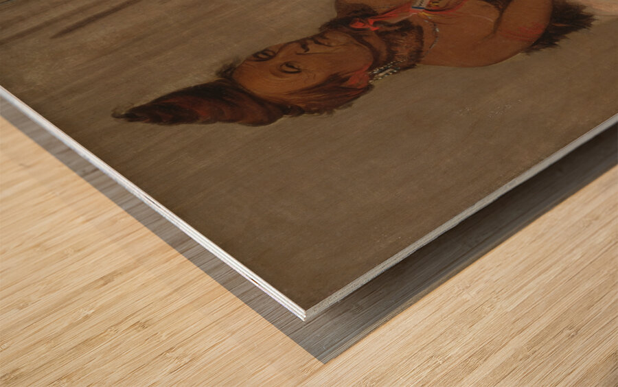 Eh-Toh’k-Pah-She-Pée-Shah Black Moccasin Aged Chief 1832 Impression sur bois