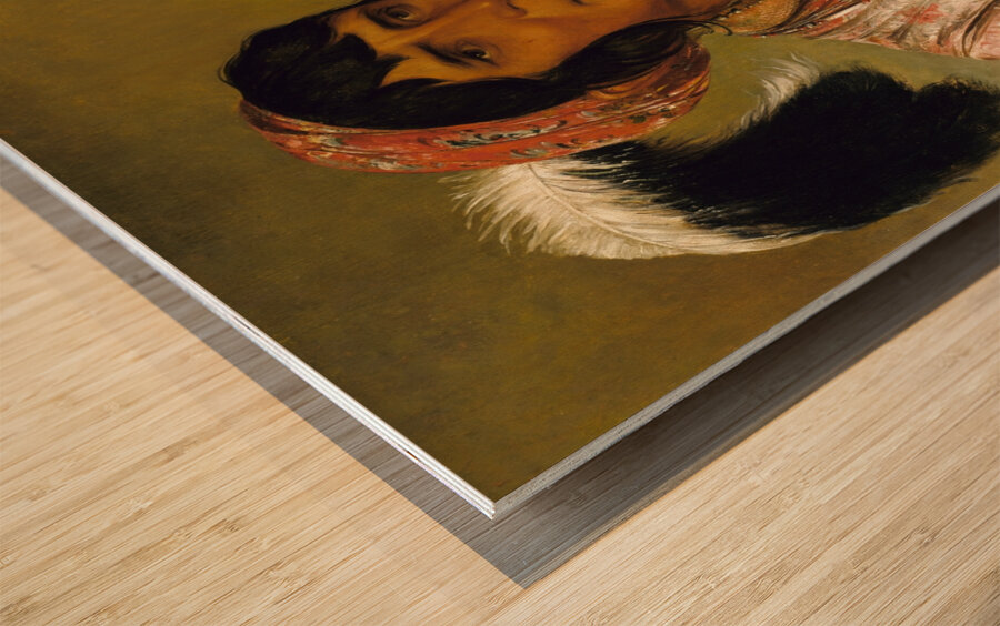 Os-Ce-O-Lá The Black Drink a Warrior of Great Distinction 1838 Wood print