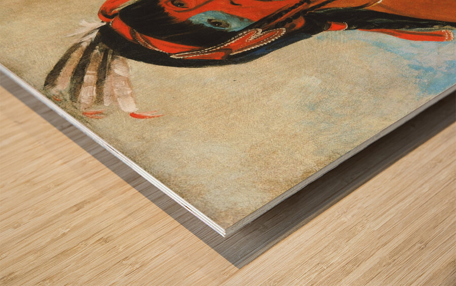 O-Tá-Wah The Ottaway a Warrior 1835 Wood print