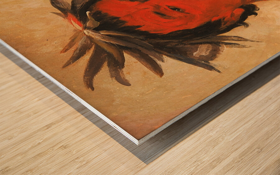 O-Ho-Páh-Sha Small Whoop a Distinguished Warrior 1831 Wood print