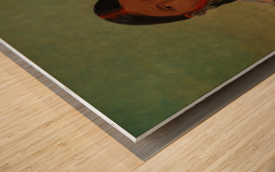 Ru-Ton-Wee-Me Pigeon On The Wing 1844 Impression sur bois