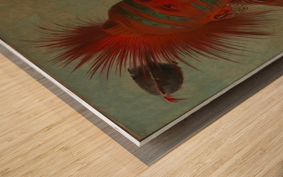 No-Ho-Mun-Ya One Who Gives No Attention 1844 Wood print