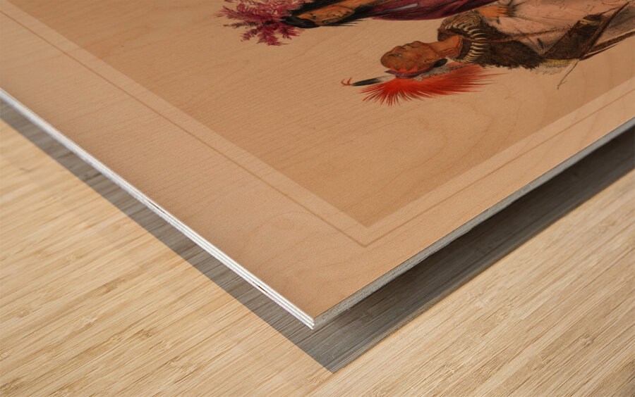 North American Indian Portfolio 1844 Wood print