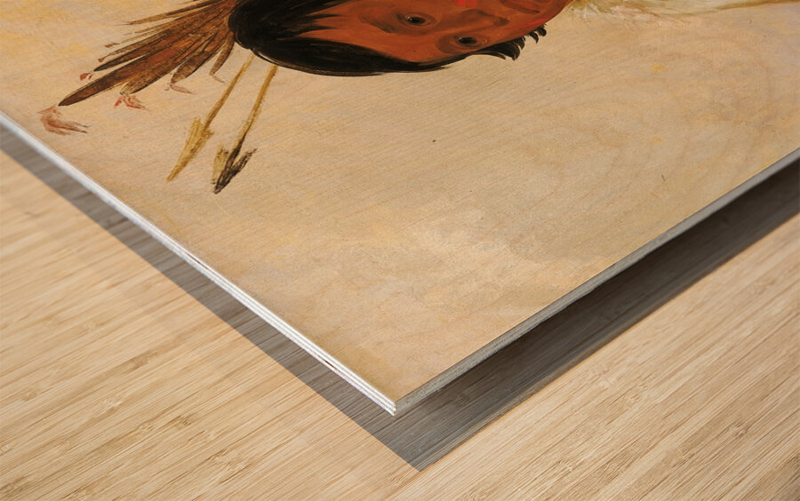 Ni-A-Có-Mo Fix With The Foot a Brave 1830 Wood print