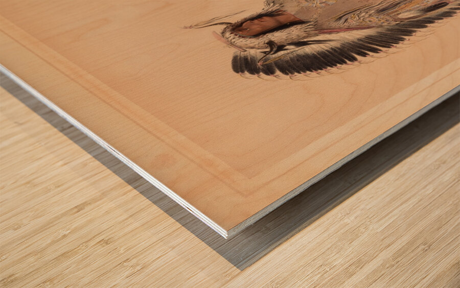 Mah-To-Toh-Pa The Mandan Chief Wood print