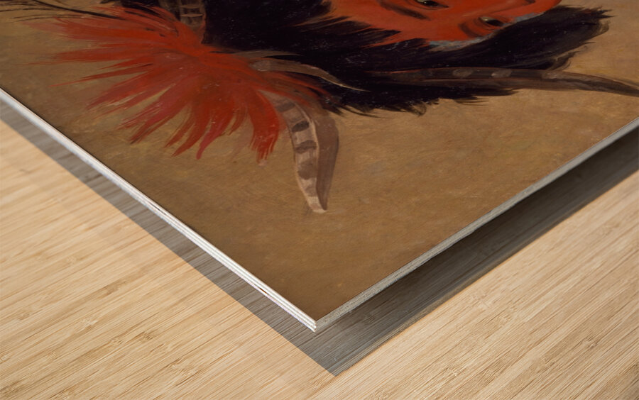 Pah-Shee-Náu-Shaw a Warrior 1831 Wood print