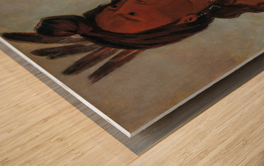 Mah-Tó-Che-Ga Little Bear a Hunkpapa Brave 1832 Wood print