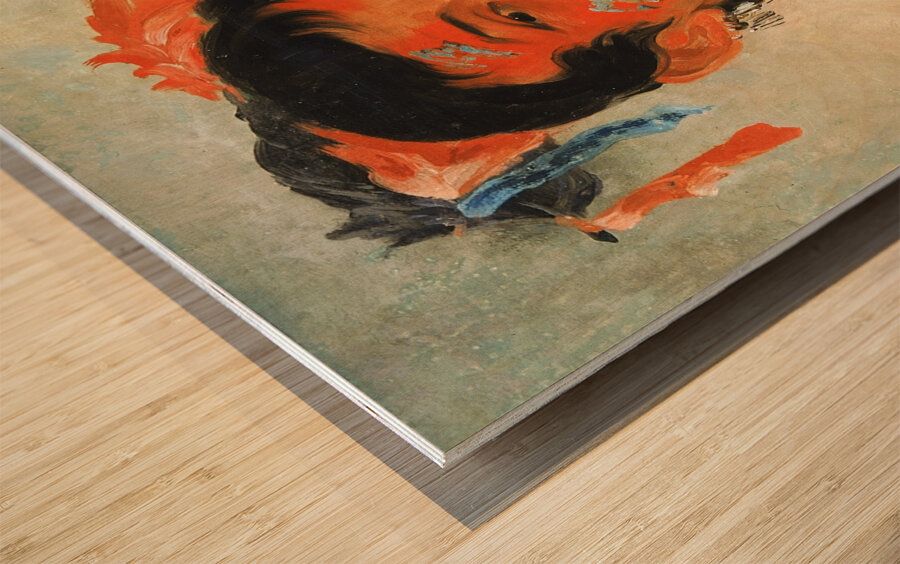 Sha-Wá-No The South a Noted Warrior 1831 Wood print