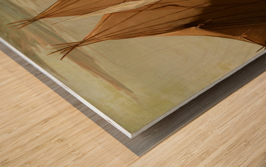 Sioux Dog Feast 1832-1837 Wood print