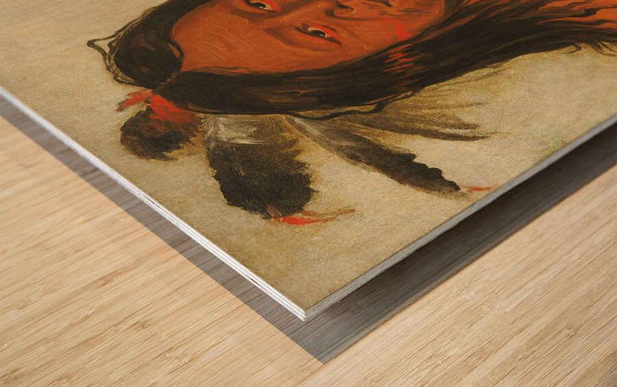 Ta-Wáh-Que-Nah Mountain of Rocks Second Chief of The Tribe 1834 Wood print