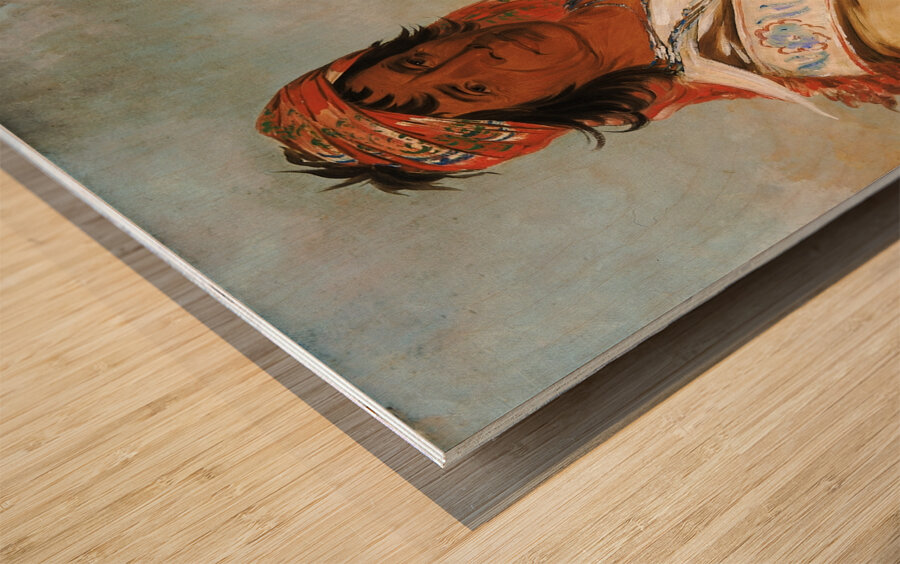 Steeh-Tcha-Kó-Me-Co Great King Called Ben Perryman a Chief 1834 Wood print