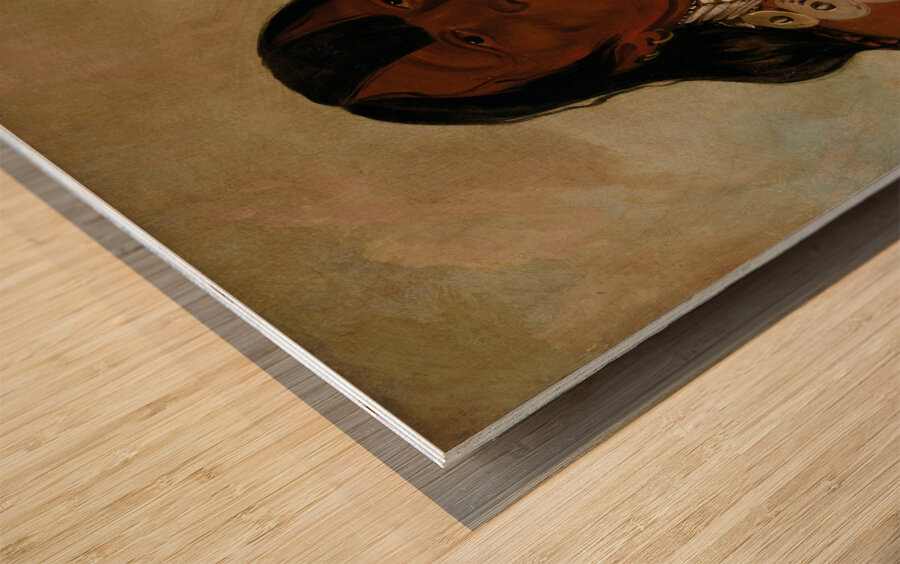 Téh-Tóot-Sah Better Known As Tohausen Little Bluff First Chief 1834 Wood print