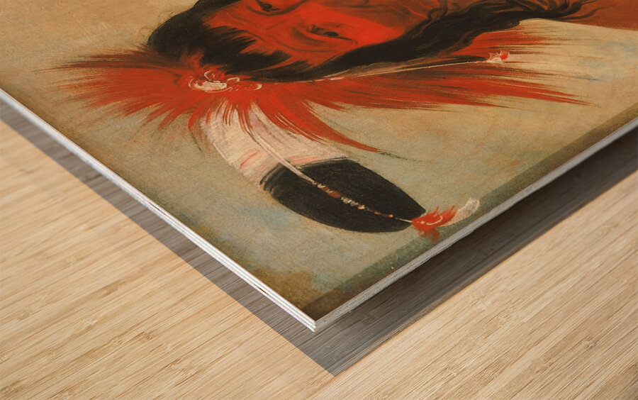 Wá-Nah-De-Túnk-Ah Big Eagle Or Black Dog Chief of The O-Hah-Kas-Ka-Toh-Y-An-Te Band 1835 Wood print