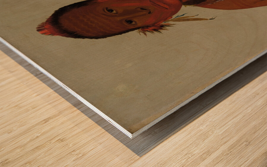 Wa-Sáw-Me-Saw Roaring Thunder Youngest Son of Black Hawk 1832 Wood print