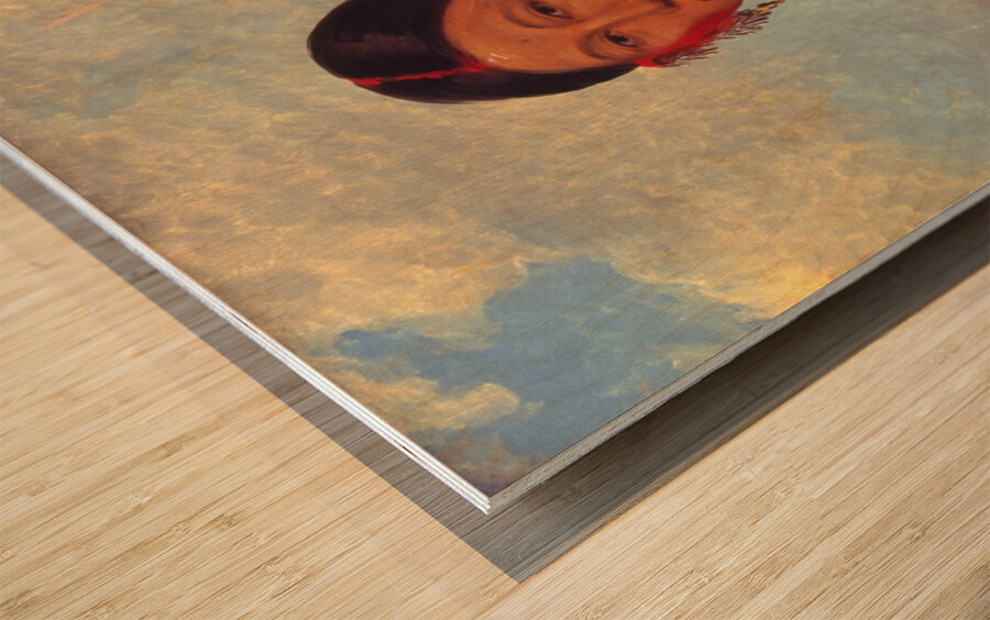 Koon-za-ya-me Female War Eagle 1844 Wood print