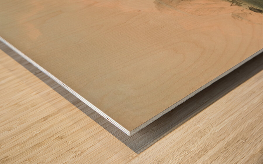 Buffalo Hunt Chasing Back 1844 Wood print