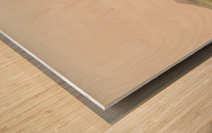 Buffalo Hunt Approaching in a Ravine 1844 Wood print