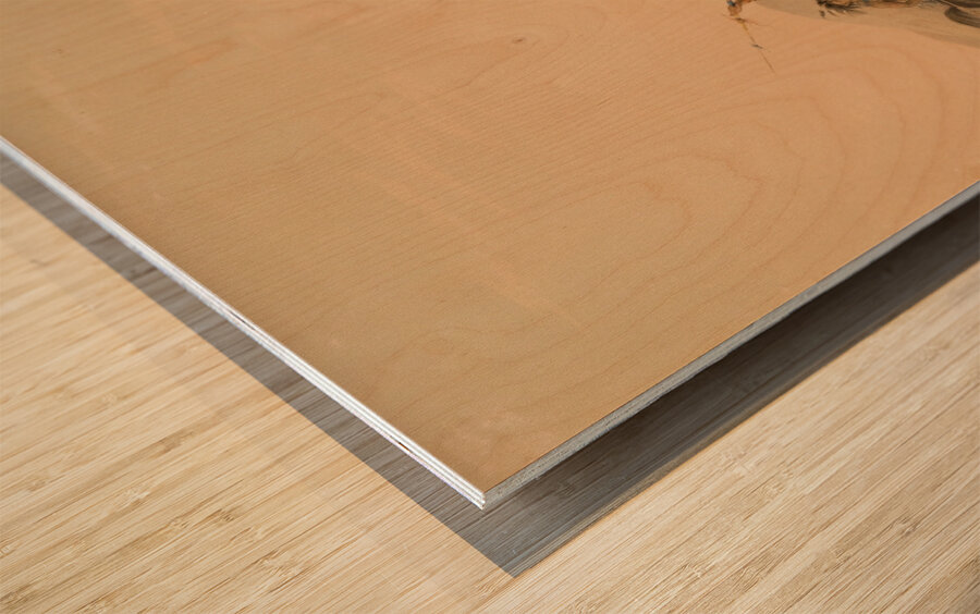 Attacking the Grizzly Bear 1844 Wood print