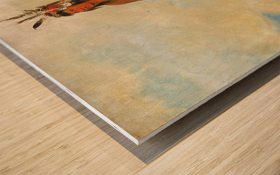 Won-De-Tów-A The Wonder 1835 Wood print