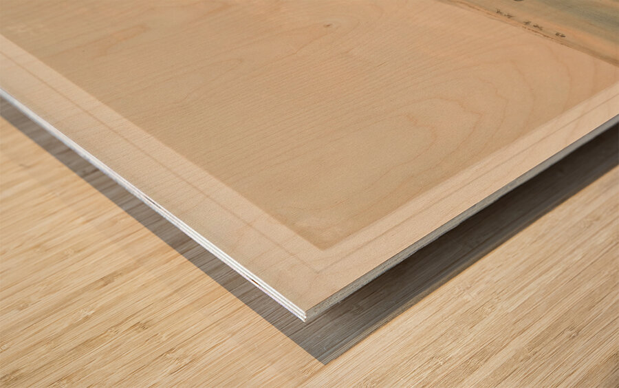 Wild Horses at Play 1844 Wood print