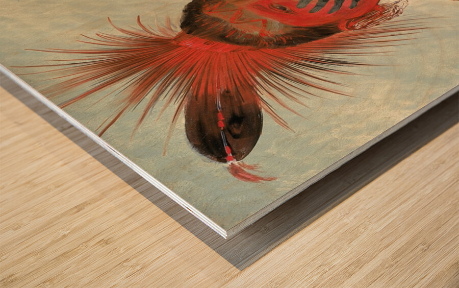 Wash-ka-mon-ya Fast Dancer a Warrior 1844-1845 Wood print