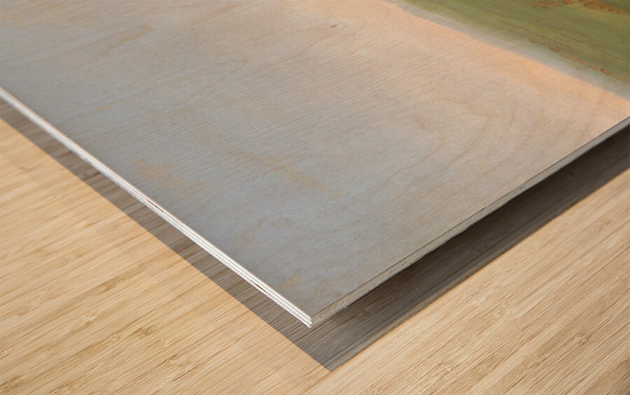 Sham Fight Mandan Boys 1832-1833 Wood print